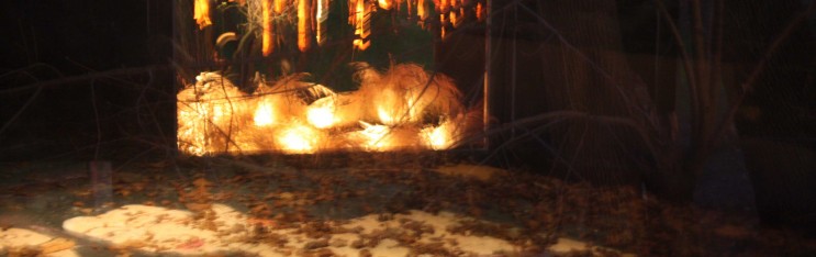 Time is Not Even, Space is Not Empty