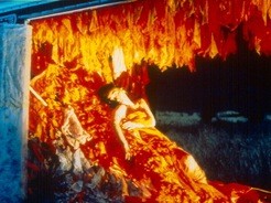 The Caravan Project (1999)