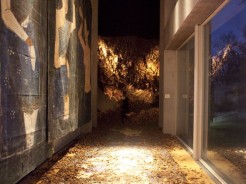 Retrospective Exhibition