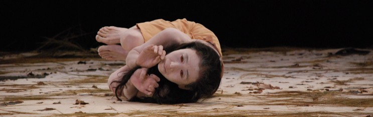 Performance of Raven