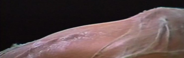 Narrated List of Media Works