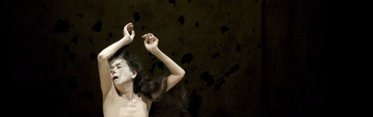 Regeneration at Tigertail Productions