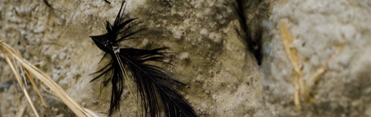 Forrest Gander recites poems on Eiko & Koma