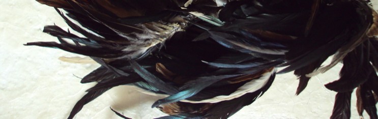 Eiko & Koma's Walker Art Center Activites 