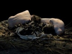 Naked (studio shots)