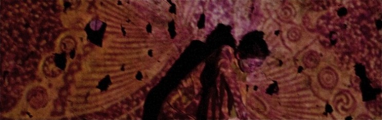 Regeneration at Ringling Museum of Art