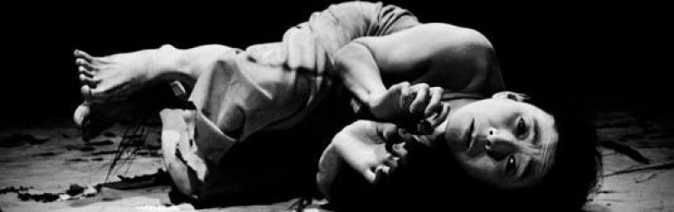 Regeneration at the Dublin Dance Festival   