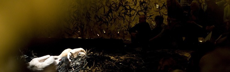 Naked opened for two week run: FREE ADMISSION