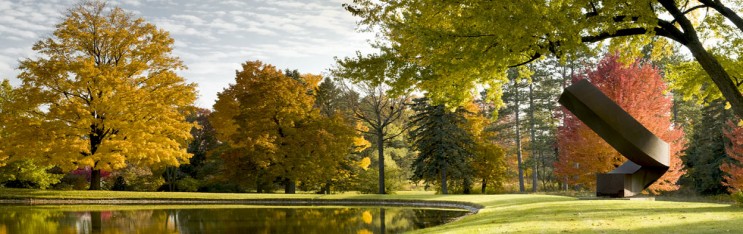 Raven at the Lynden Sculpture Garden/Alverno Presents