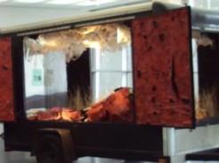 MCA Chicago Exhibition