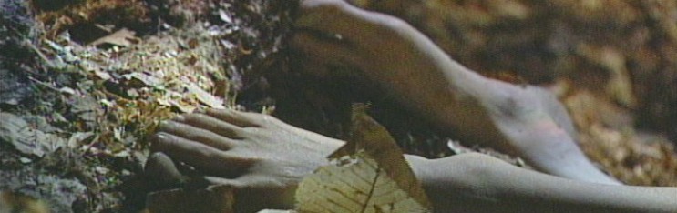 Film Screening and Talk at Chicago MCA