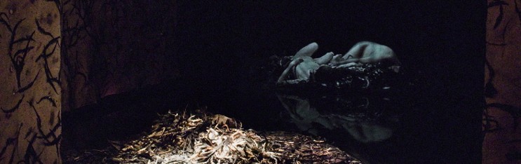 Naked: Video Installation