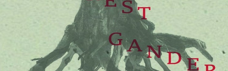 Poems by Forrest Gander 