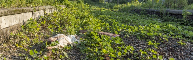 Photo exhibition A BODY IN FUKUSHIMA at PAFA