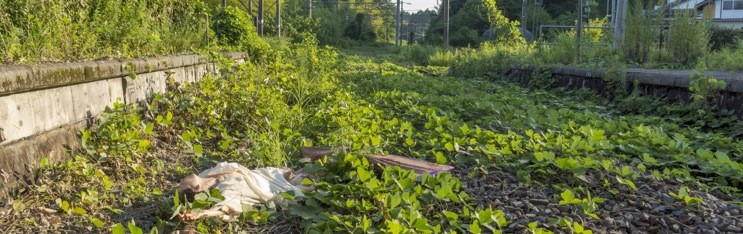 The Place of Place: Reflections on A Body in Fukushima
