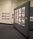 DAC Gallery