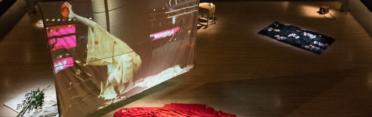 Video Installation: A Body with Water