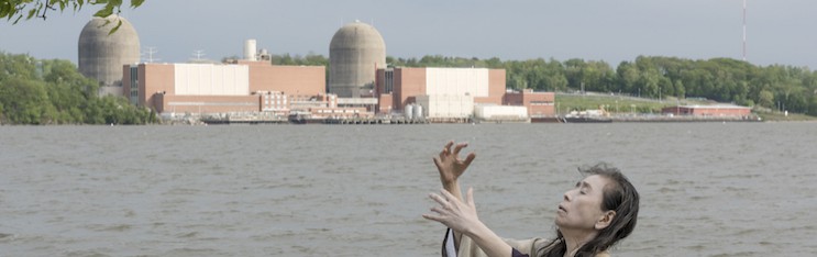 Indian Point, 36 Miles from New York City