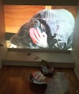 R2R 2016: Video Installation: A BODY WITH WATER 
