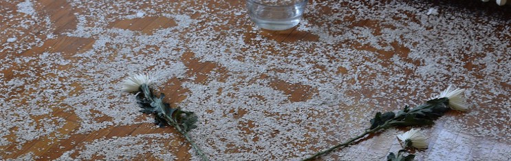 R2R 2016: Video Installation A Body with Water