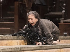 Remembering Fukushima: Epilogue (2017)