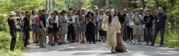 A Body at the Pillow, and A Body in Pittsfield, MA
