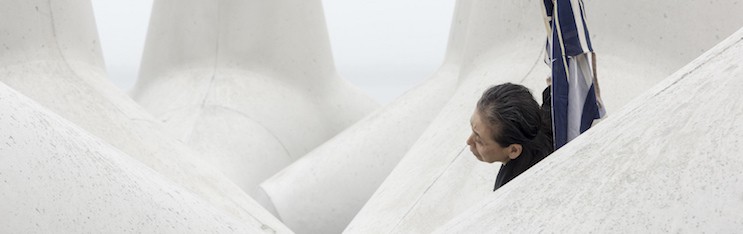 A Body in Fukushima at Wesleyan