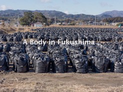 A Body in Fukushima for screening and in-class presentation (2014-2017)