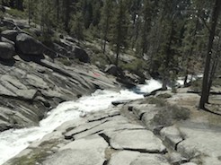 Sequoia: River (2019)