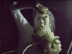 Night with Moths (2019)