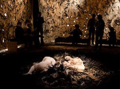 Minnesota Public Radio Interview on 'Naked'