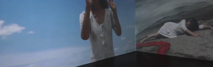 Video Installation: California Landscapes